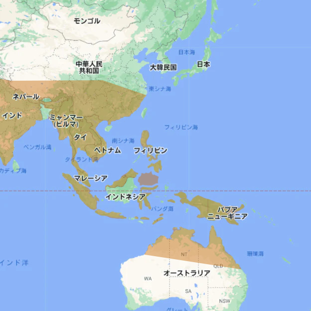 早苗 オンラインショップ 早苗 珈琲豆焙煎販売